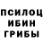Псилоцибиновые грибы Psilocybe nrg001