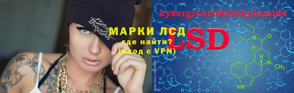 ГАЛЛЮЦИНОГЕННЫЕ ГРИБЫ Белокуриха