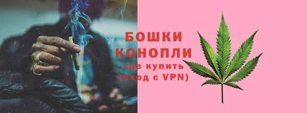 ГАЛЛЮЦИНОГЕННЫЕ ГРИБЫ Белокуриха