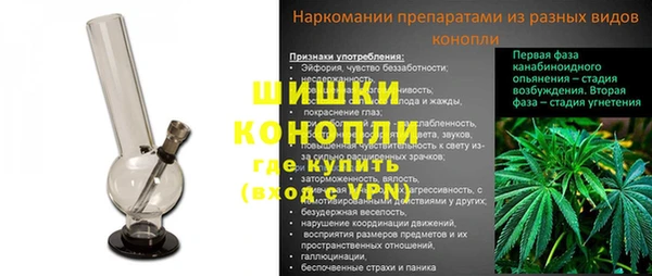ГАЛЛЮЦИНОГЕННЫЕ ГРИБЫ Белокуриха