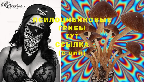 ГАЛЛЮЦИНОГЕННЫЕ ГРИБЫ Белокуриха