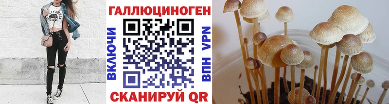 купить наркоту  Оха  Псилоцибиновые грибы Psilocybine cubensis 