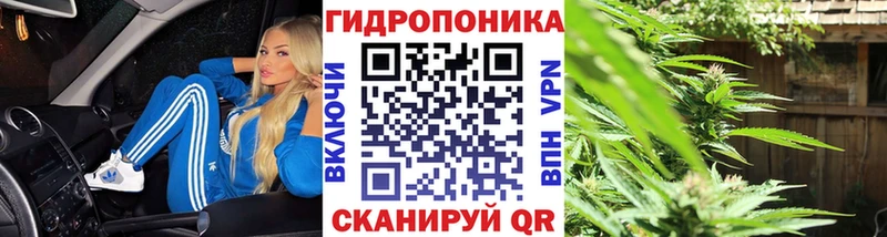 Марихуана конопля Оха